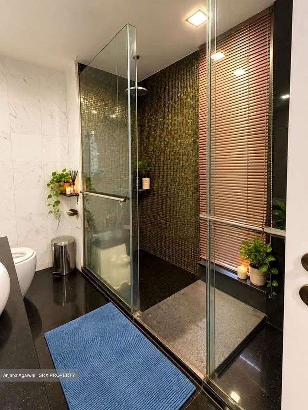 Cote D'Azur (D15), Condominium #639797701